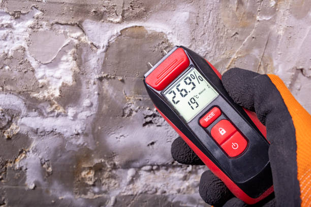 Best Bathroom Mold Remediation in Thomasville, GA